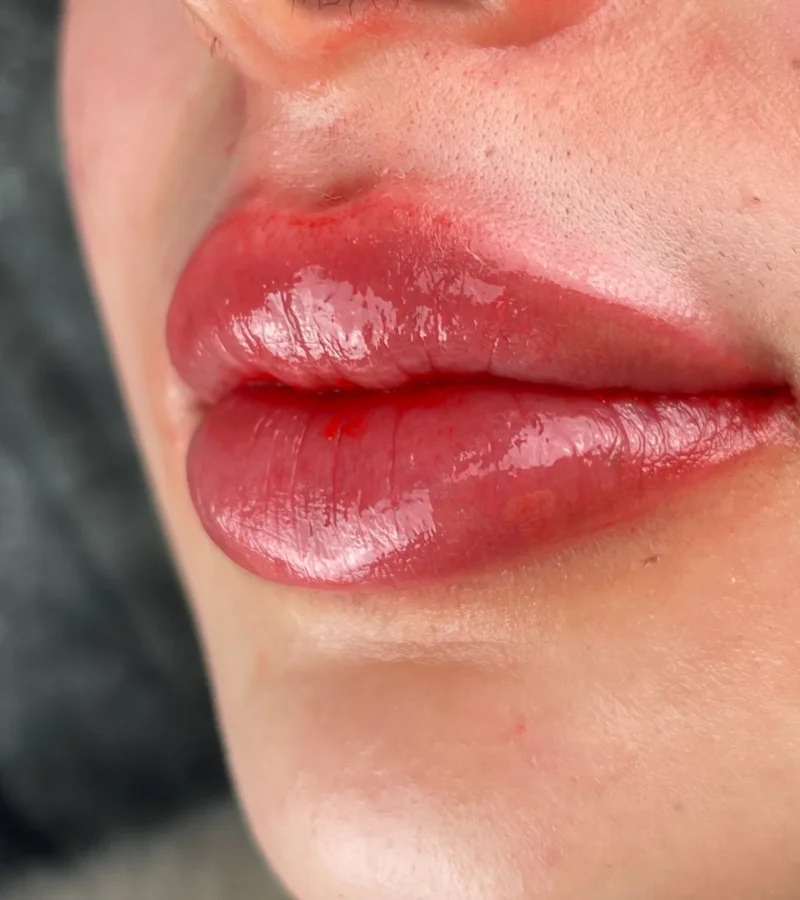 aquarelle lips services in orlando florida browqueen by anabel